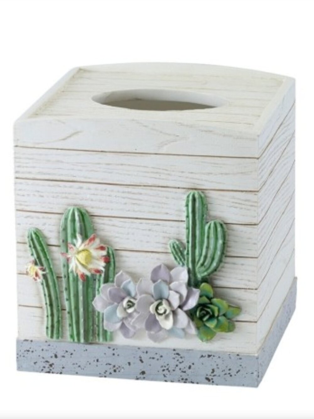 Avanti Canyon Cactus Tissue Box Cover Bath Decor NWT